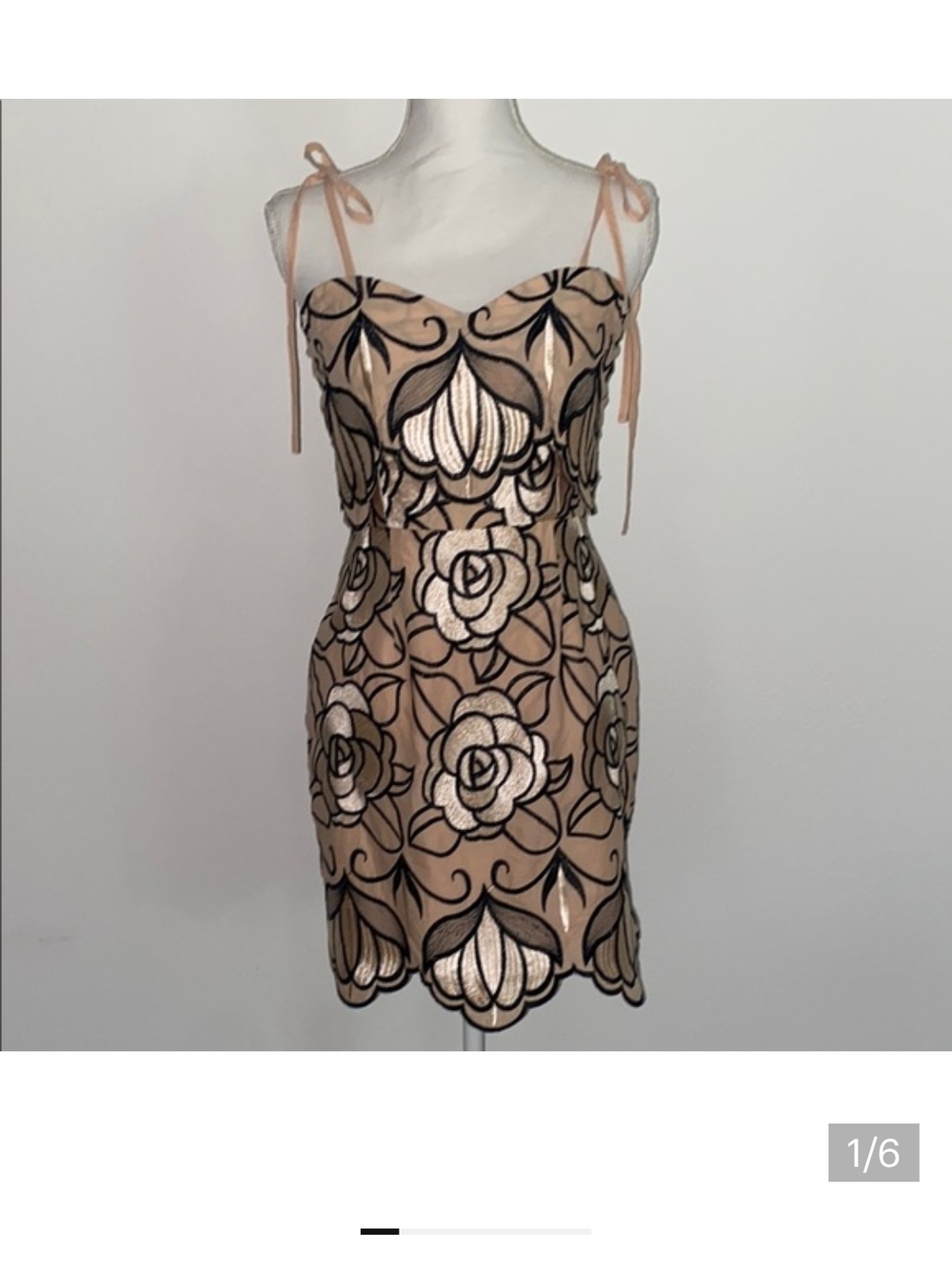 Sleeveless Nude Pink Floral Embroidered Mini Dress GIANNI BINI IN SEARCH OF